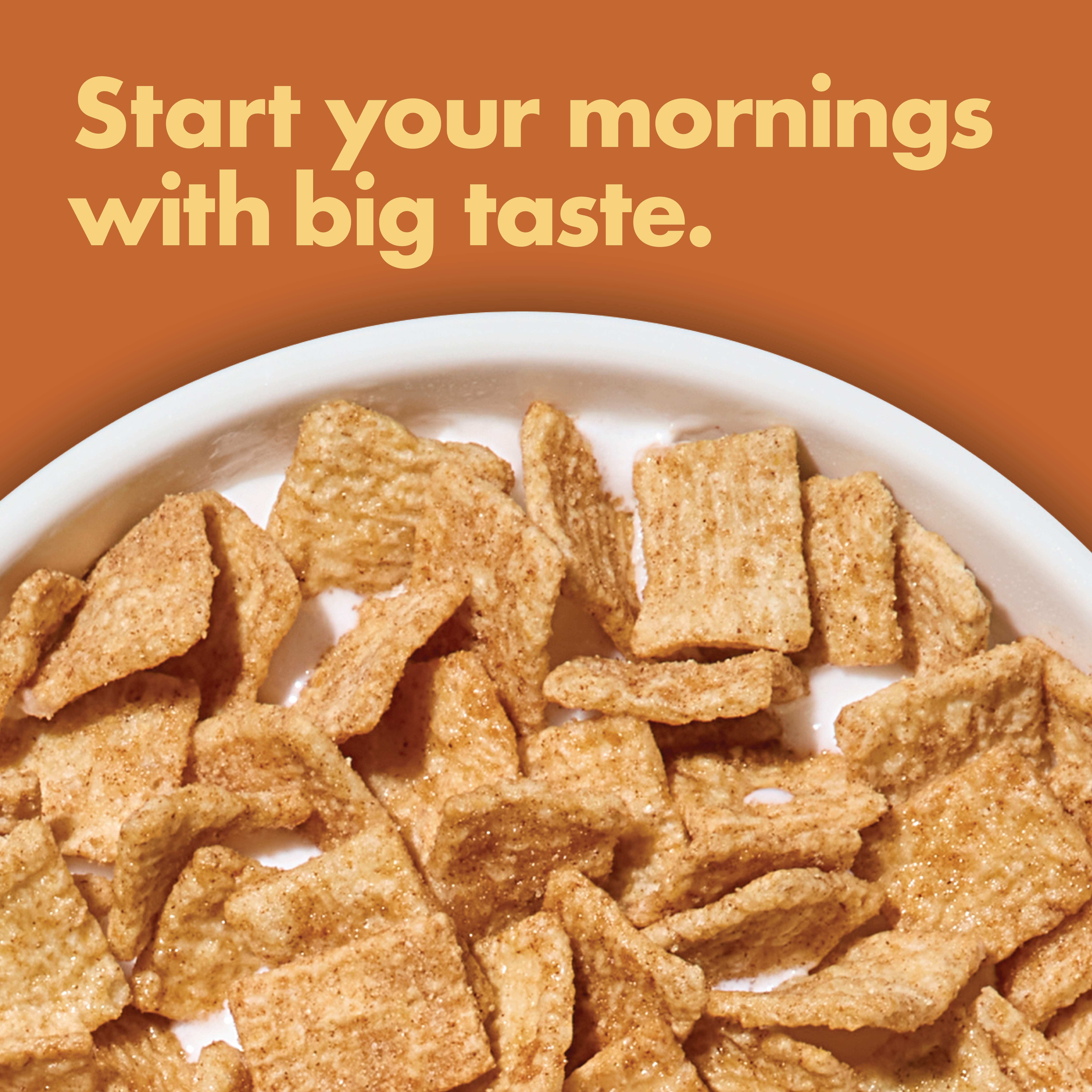 Cinnamon Toasters Cereal in a bowl